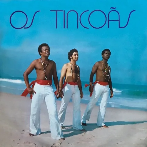 Capa de Os Tincoãs