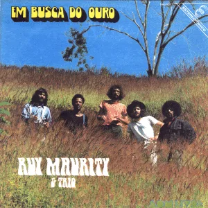 Capa de Em Busca do Ouro